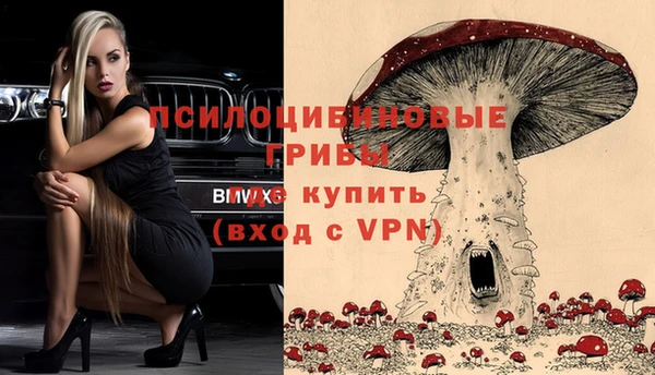 гидра Белокуриха