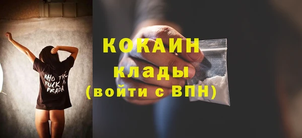 гидра Белокуриха
