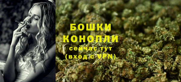 гидра Белокуриха